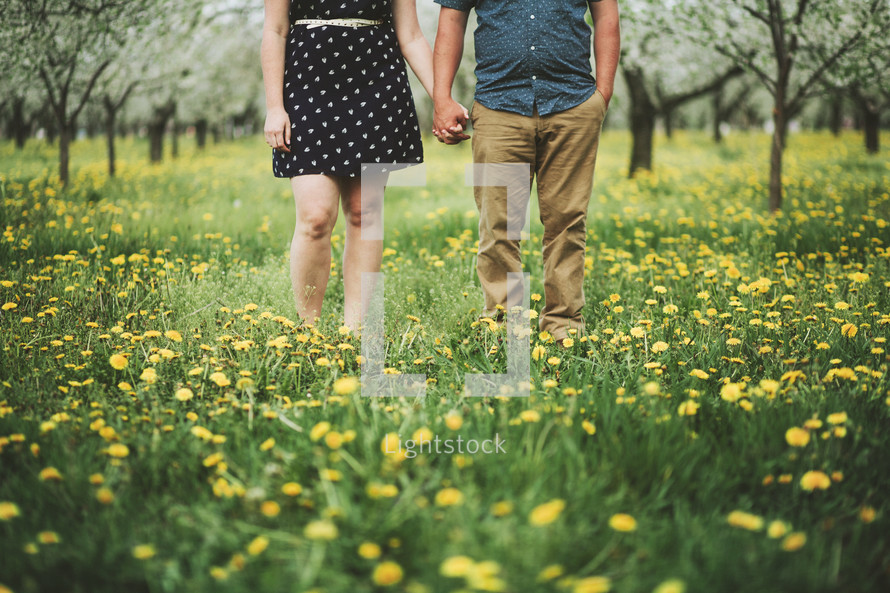 a couple holding hands in a field of wildflowers 