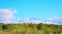 The snow-capped peak of Mount Kilimanjaro is visible from the hotel room, making it a captivating tourist attraction