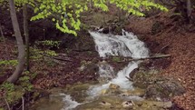 Fly backward over clear water of mountain stream flow in spring wilderness forest
