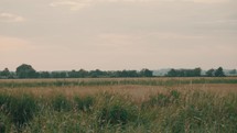 Large open meadow, panning landscape shot, rural countryside 4K video