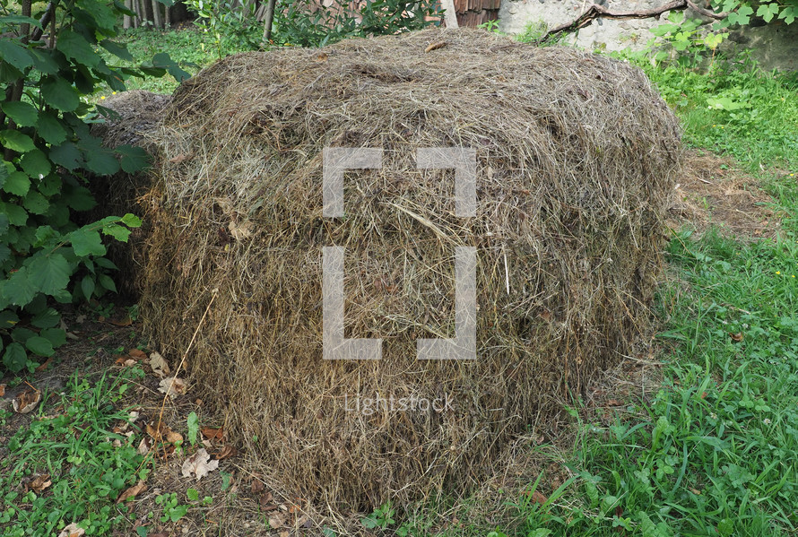 heap of hay in a meadow of green grass