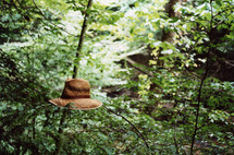a hat in a tree 