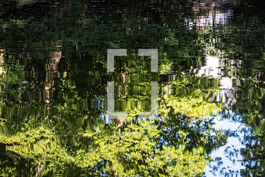reflection of trees in lake water