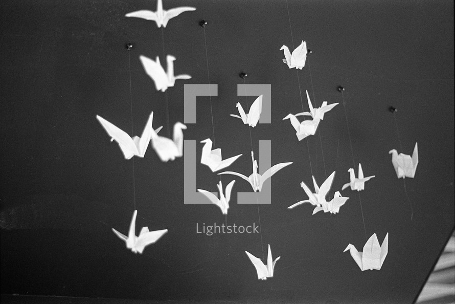 White origami birds against a dark background.