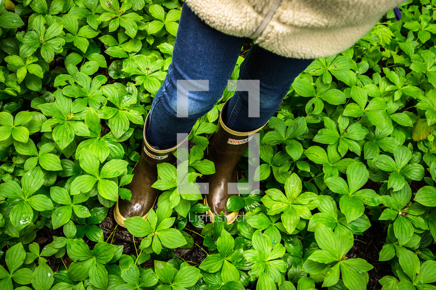 A young girl in rain boots standing in green plants.