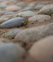 smooth stones on the ground