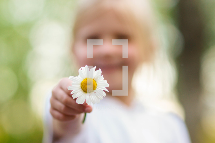 little girl holding out a daisy 