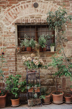 potted plants on a veranda in Italy 