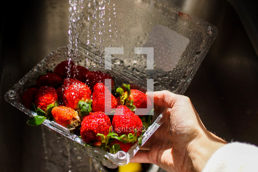 rinsing strawberries 