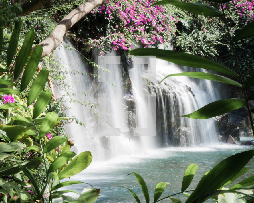 waterfall and pink flowers 