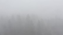 dense fog 