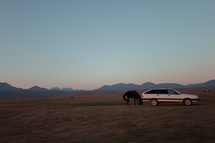 horse near a car on a rural landscape 