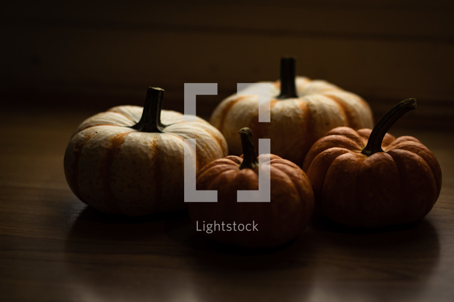 mini pumpkins on a wood background 