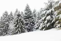 winter snowscapes 