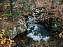stream in a river in Autumn 