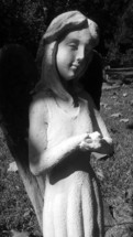 A black and white photo of a female angel statue figure praying over a person buried at a local grave site at a cemetery where their remains lay at rest and their souls have gone on to their eternal reward.
