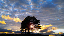 The sun sets in the west behind a set of silhouetted trees casting a golden glow in the clouds against dark blue, purple and gray clouds as the sun sets in the southwest.