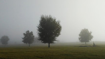 A meadow lined with trees surrounded by early morning fog in a rural country setting. 