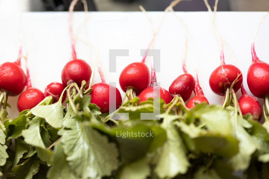 bunch of radishes lined up on cutting board