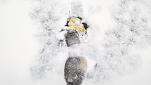 boot print with leaf in snow
