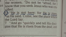 Page turns and reveals scripture verse "He is not here, for he is risen".