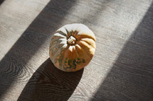 pumpkin in sunlight 