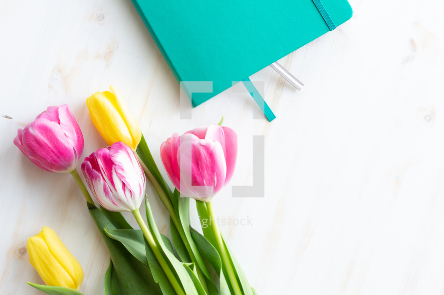 journal and tulips 