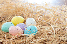 pastel Easter eggs in straw 