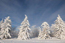 Winter landscape with heavy frost covered trees