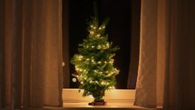 Small Christmas tree with lights.
