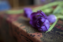 selective focus of tulips laying on table