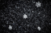 An up-close, macro photograph of the detail of a snowflake that has fallen on a black wool coat.