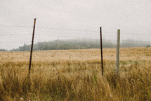 Barbed wire fence in a pasture with fog.