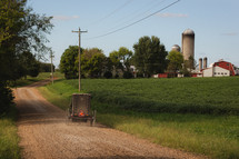 Amish wagon on a dirt road 