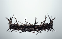 A crown of thorns on a light grey background