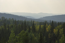 a horizon line of forest and mountains through smoky sky
