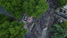 Protest Aerial View	
