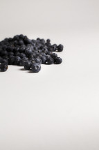 A pile of blueberries isolated on white
