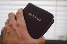 hand holding a pocket Bible 