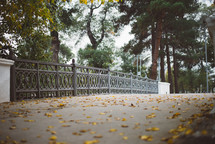 Yellow autumn leaves, Green and yellow leaves, Autumn maple leaves, autumn landscape