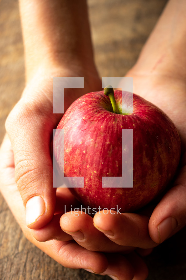 holding an apple in cupped hands 