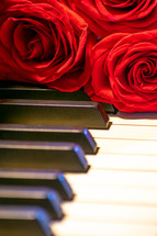 roses on a piano 