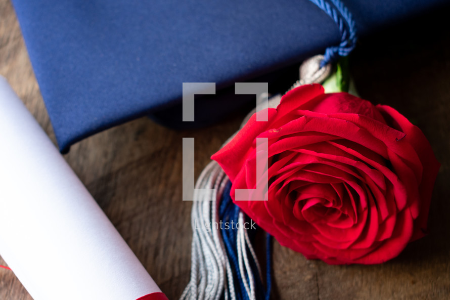 graduation cap, diploma, and red rose 