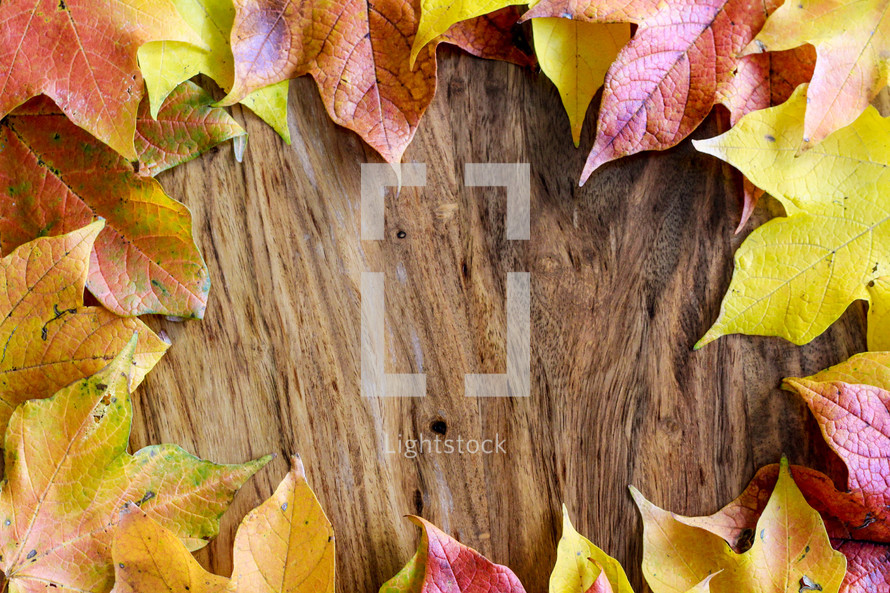 border of fall leaves on wood background 