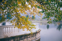  Green and yellow leaves