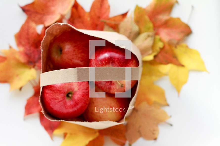 bag of apples and fall leaves on a white background 