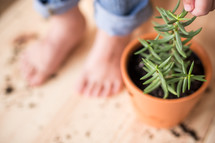 kid's feet and a potted plant 