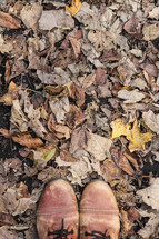 boots standing on fall leaves 