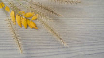 yellow fall leaves and grasses on a wood background 