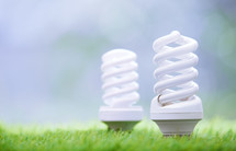 Energy saving bulb the grass